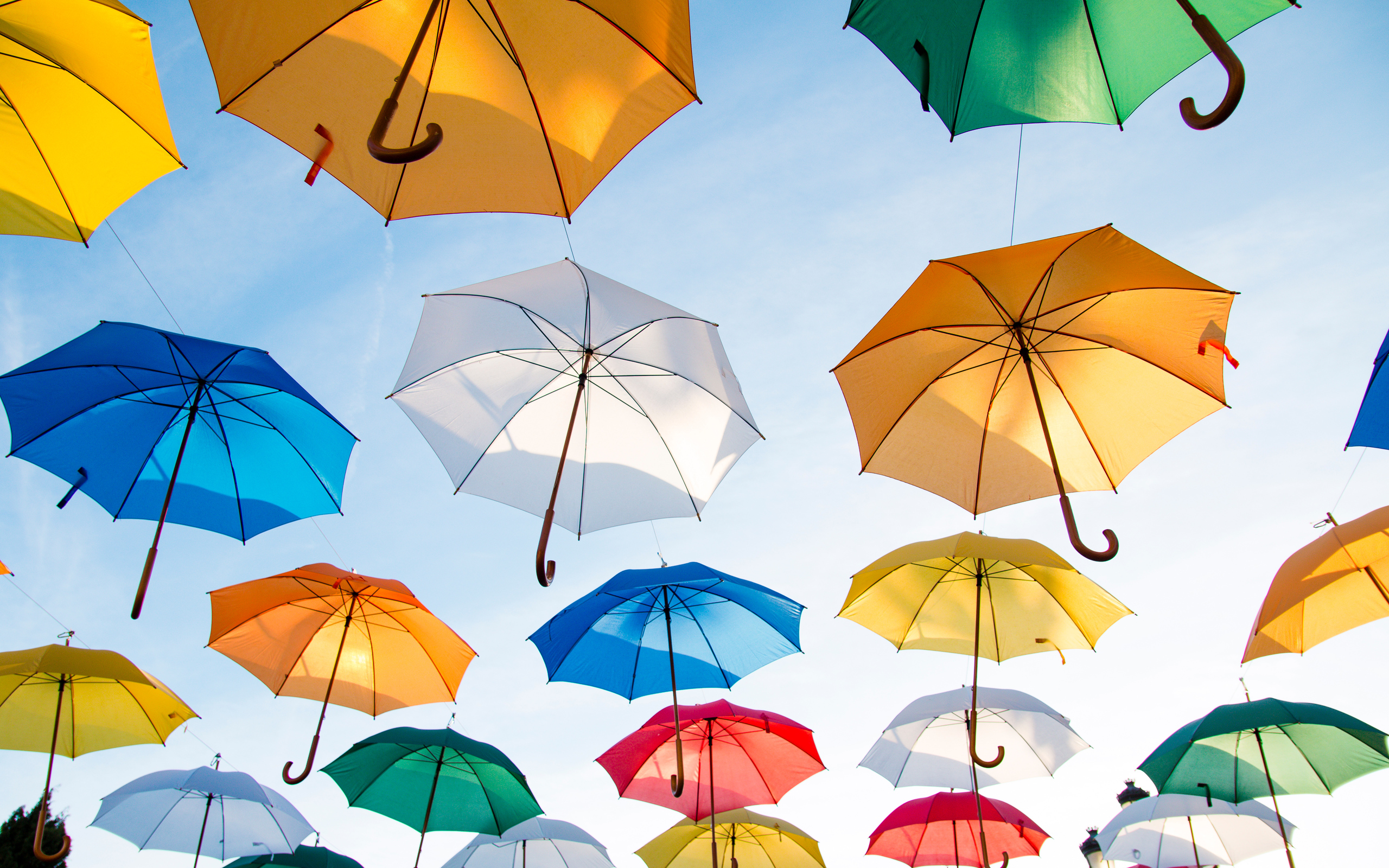 umbrella-photography-5k-ls-2560x1600.jpg