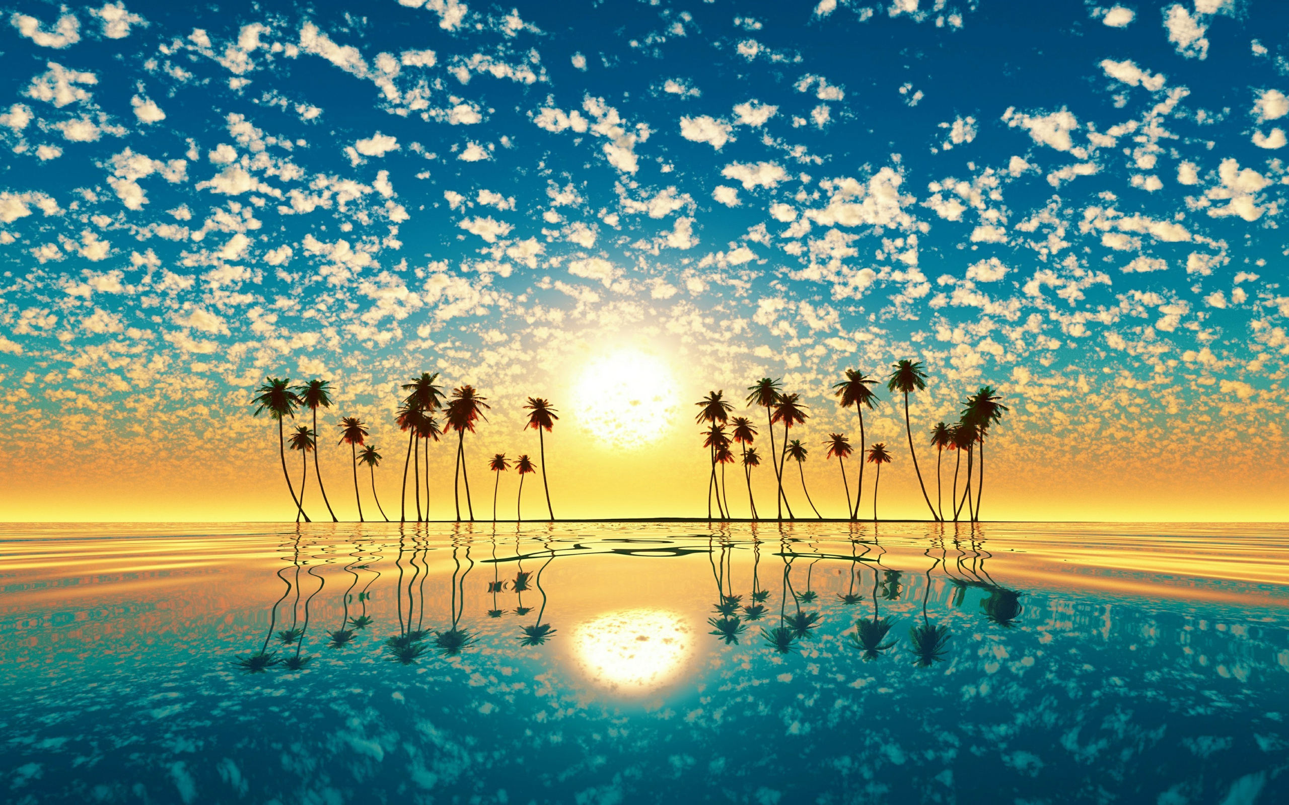 tree-horizon-sea-sunset-4k-c3-2560x1600.jpg