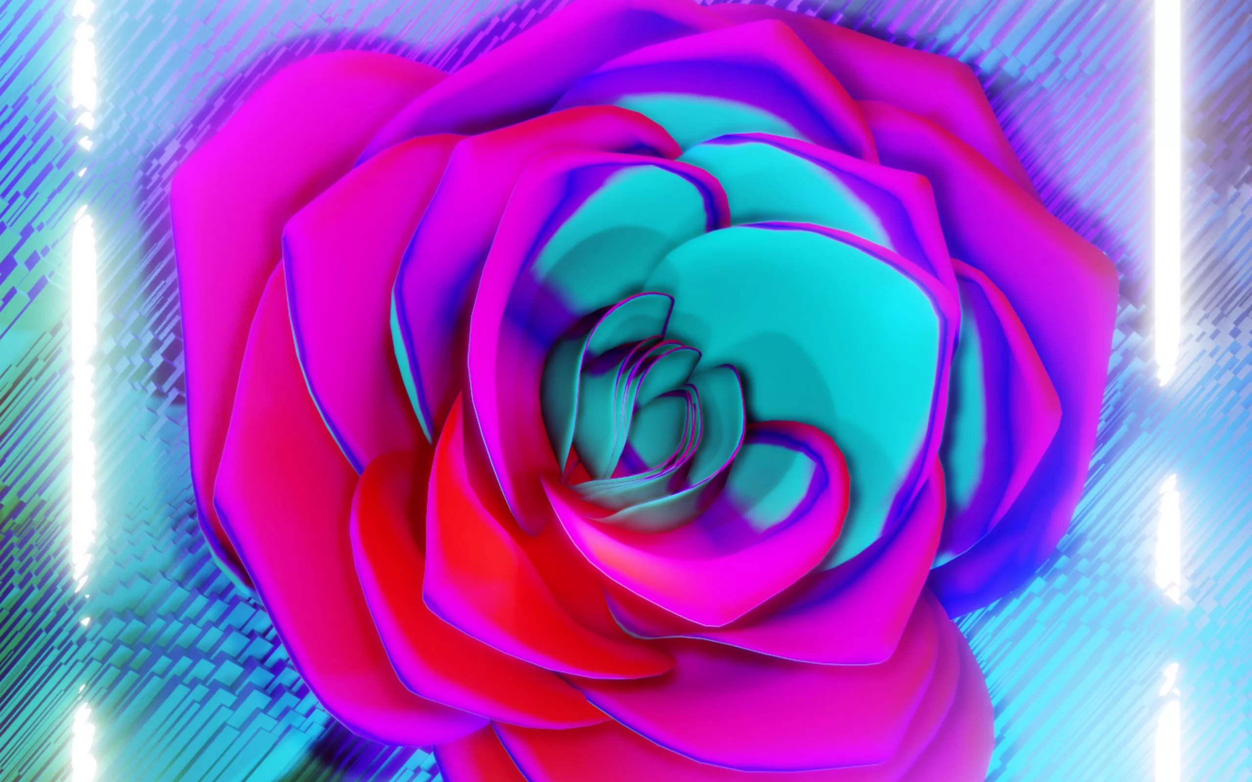 花卉壁纸