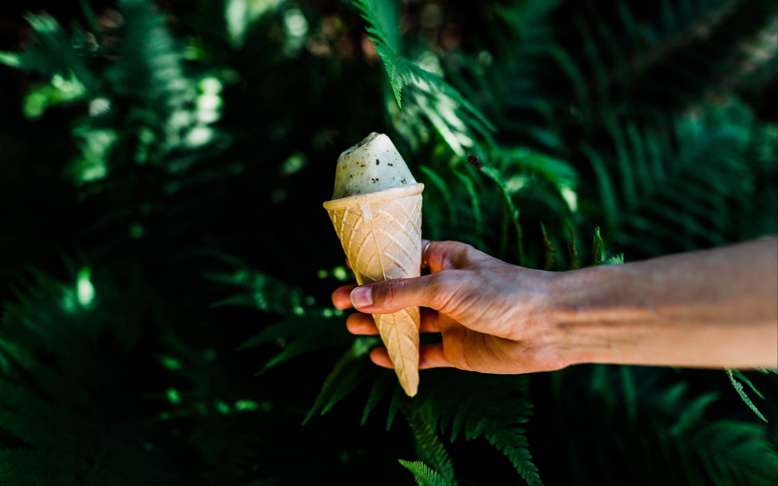 teahub.io-waffle-wallpaper-2264174.jpg