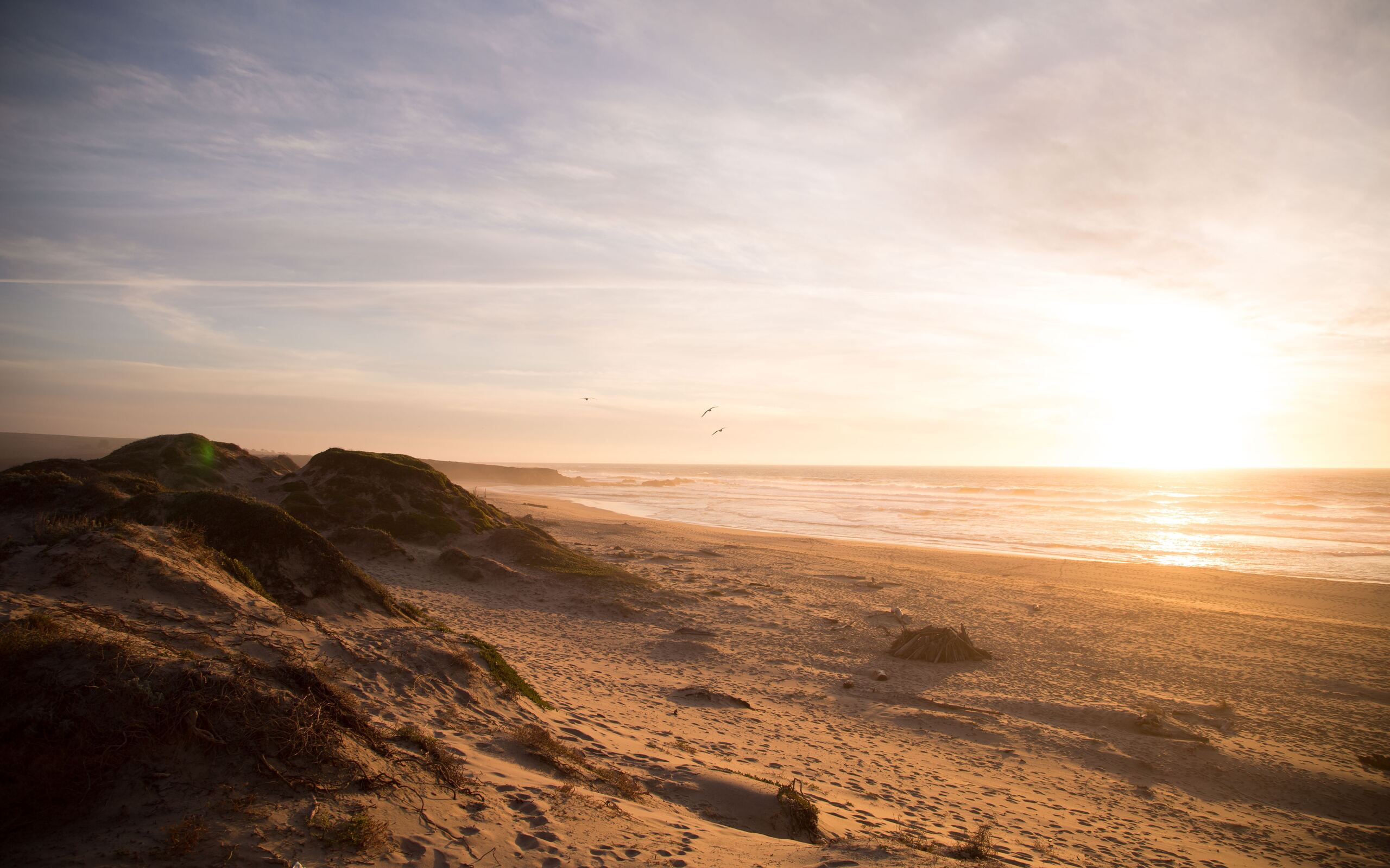 5k-beach-ocean-dunes-ry-2560x1600.jpg