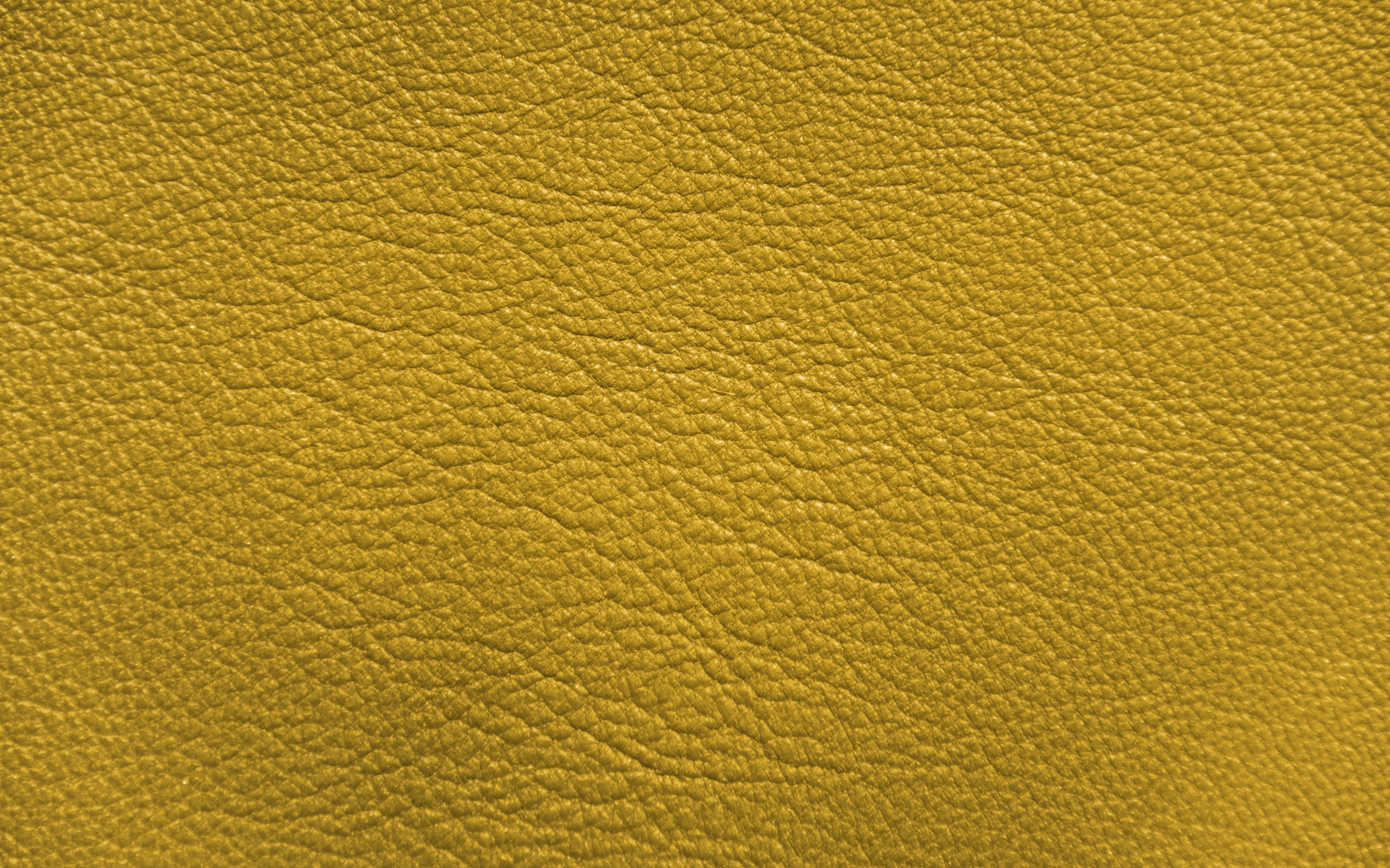 yellow-leather-5k-6v-2560x1600.jpg