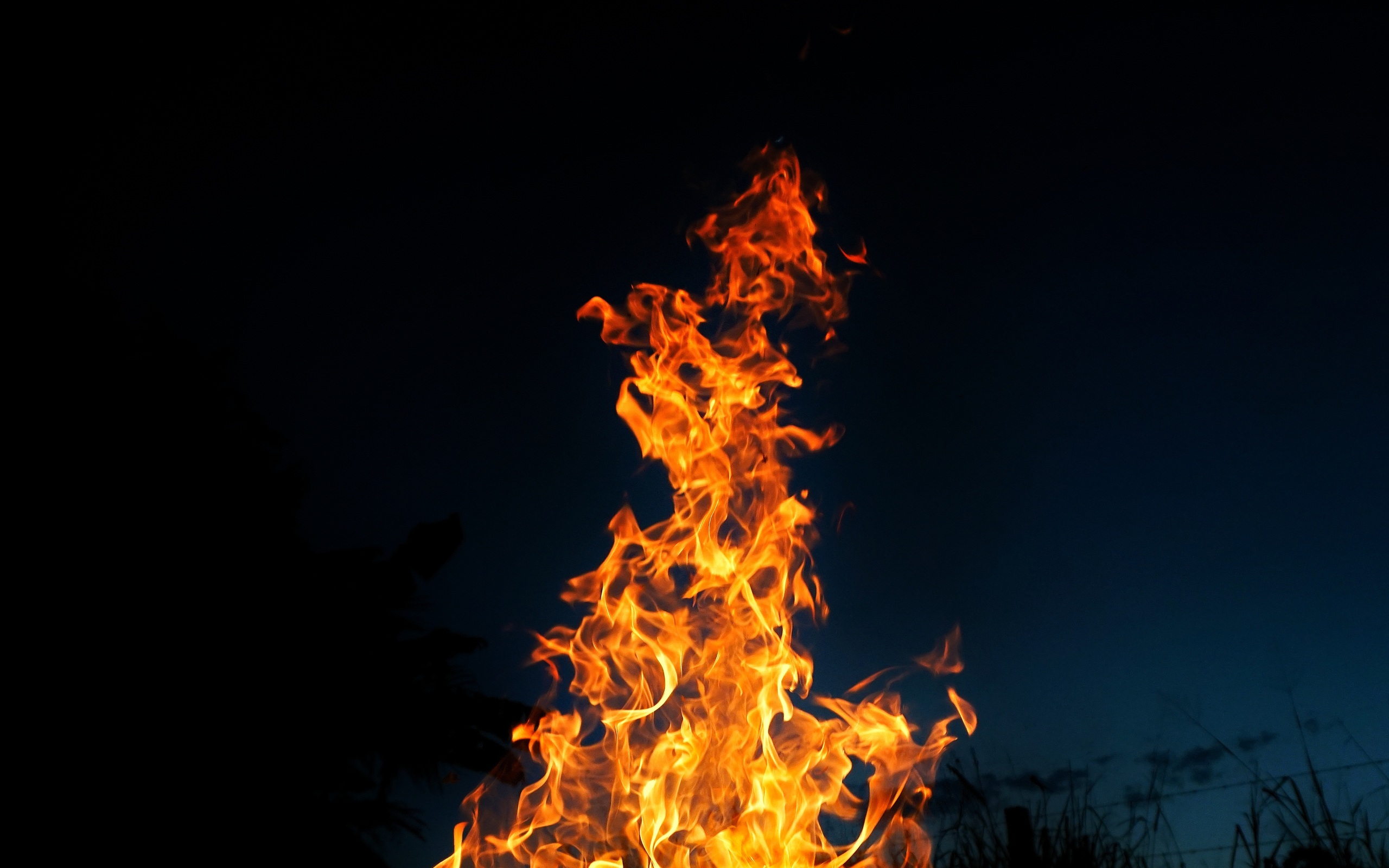 fire-burning-1e-2560x1600.jpg