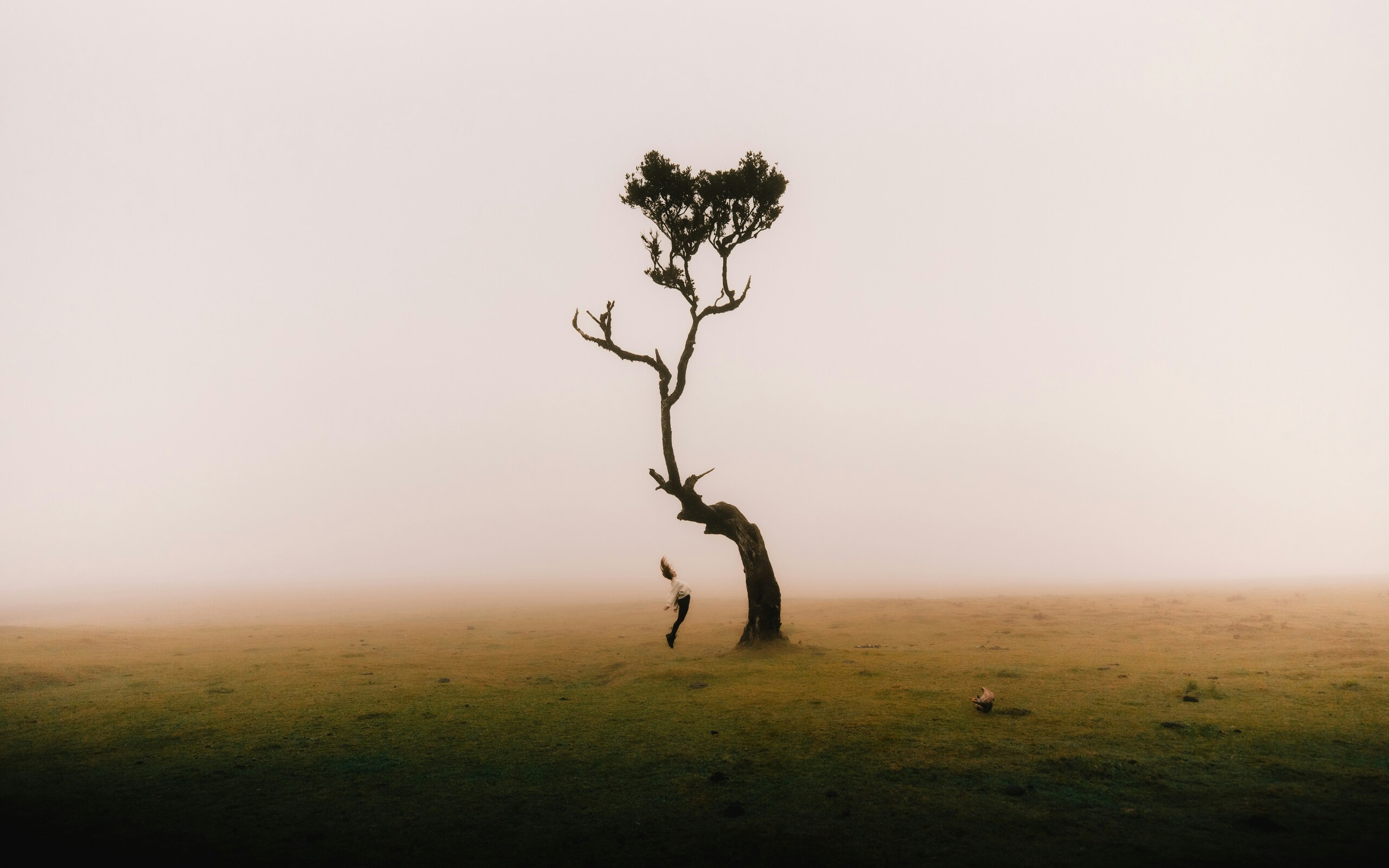 a-lone-tree-and-me-br-2560x1600 (1).jpg