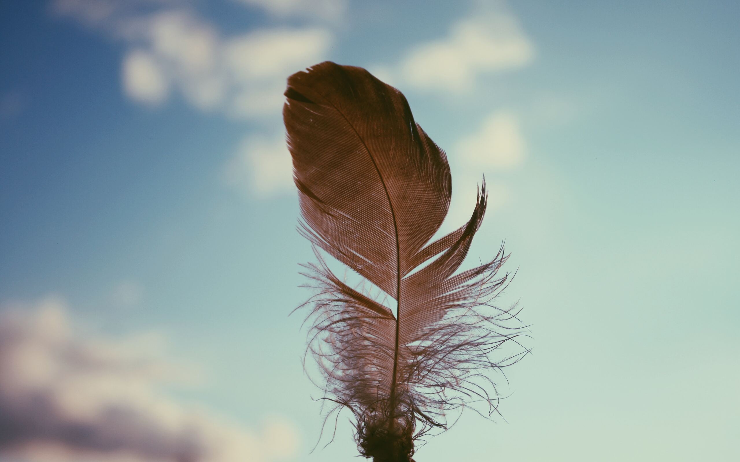 feather-sky-4k-bb-2560x1600.jpg
