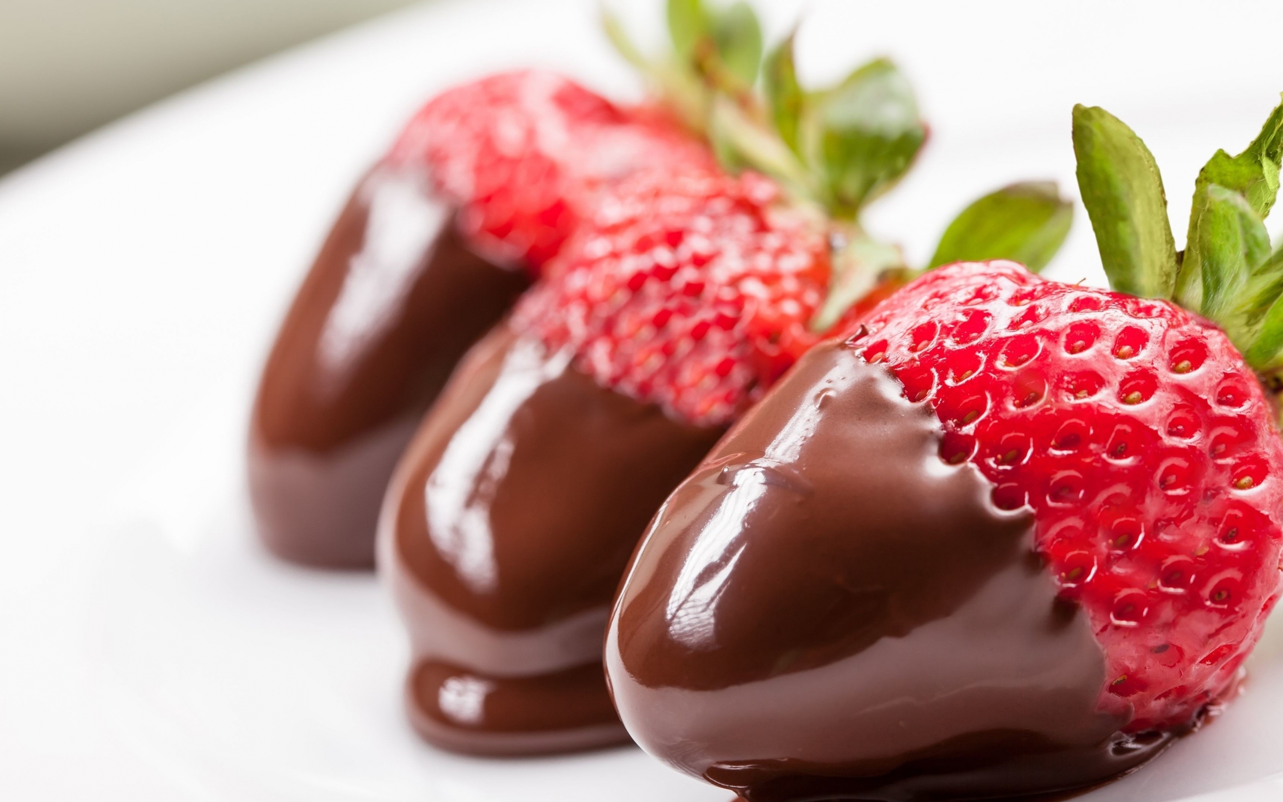strawberry-chocolate-dessert-2560x1600.jpg