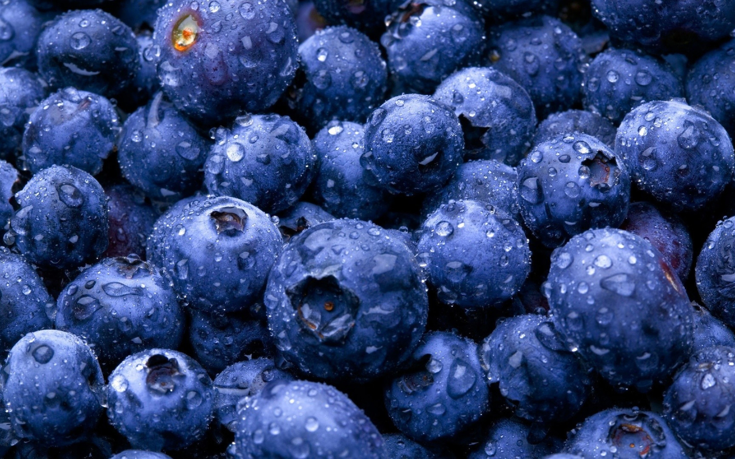 fruits-bosbes-2560x1600.jpg