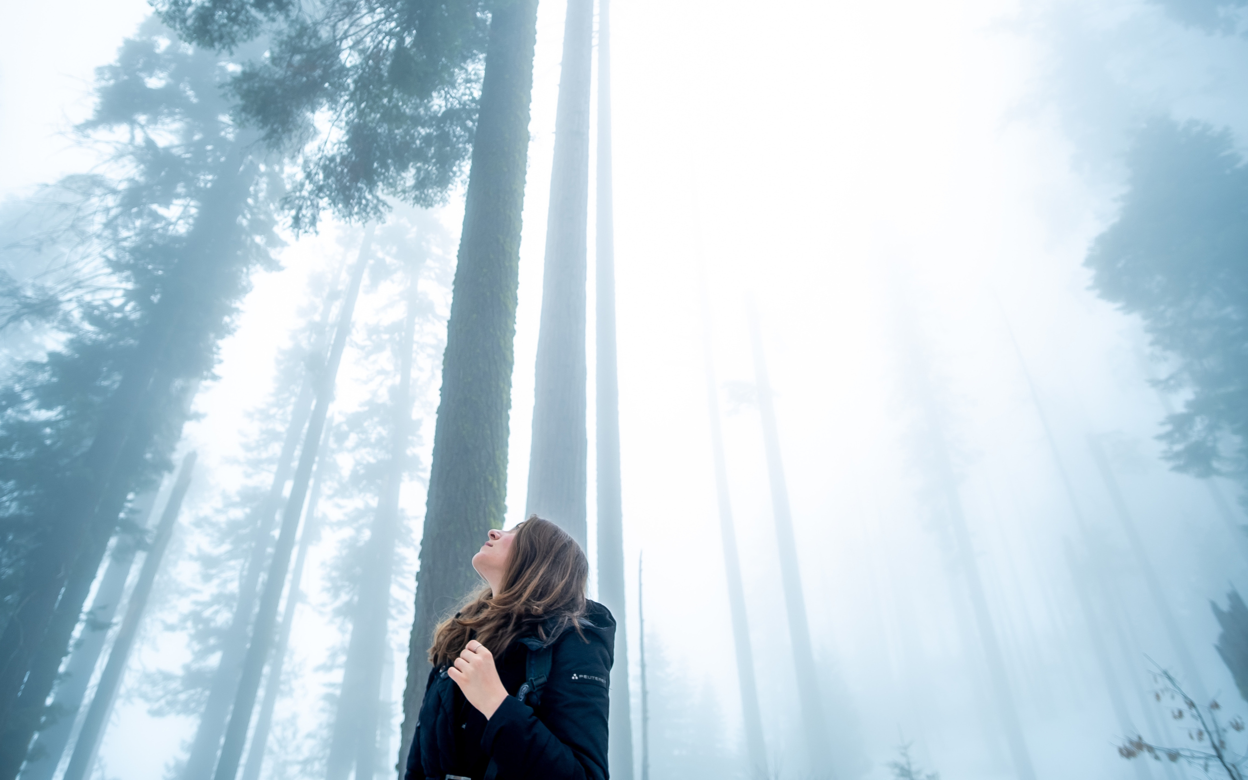 girl-looking-towards-the-tips-of-trees-pa-2560x1600.jpg