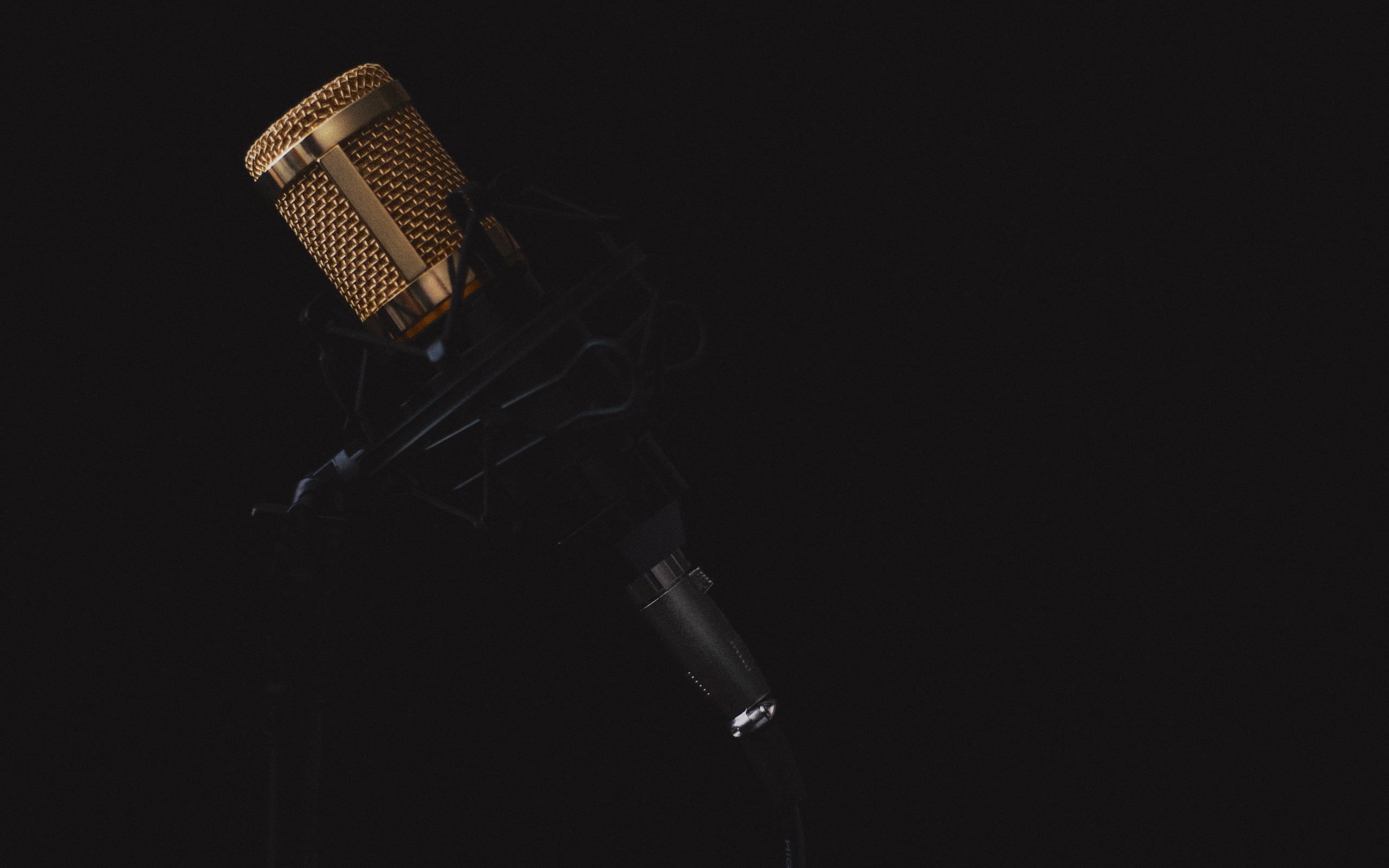 microphone-dark-background-4k-5k-ui-2560x1600.jpg