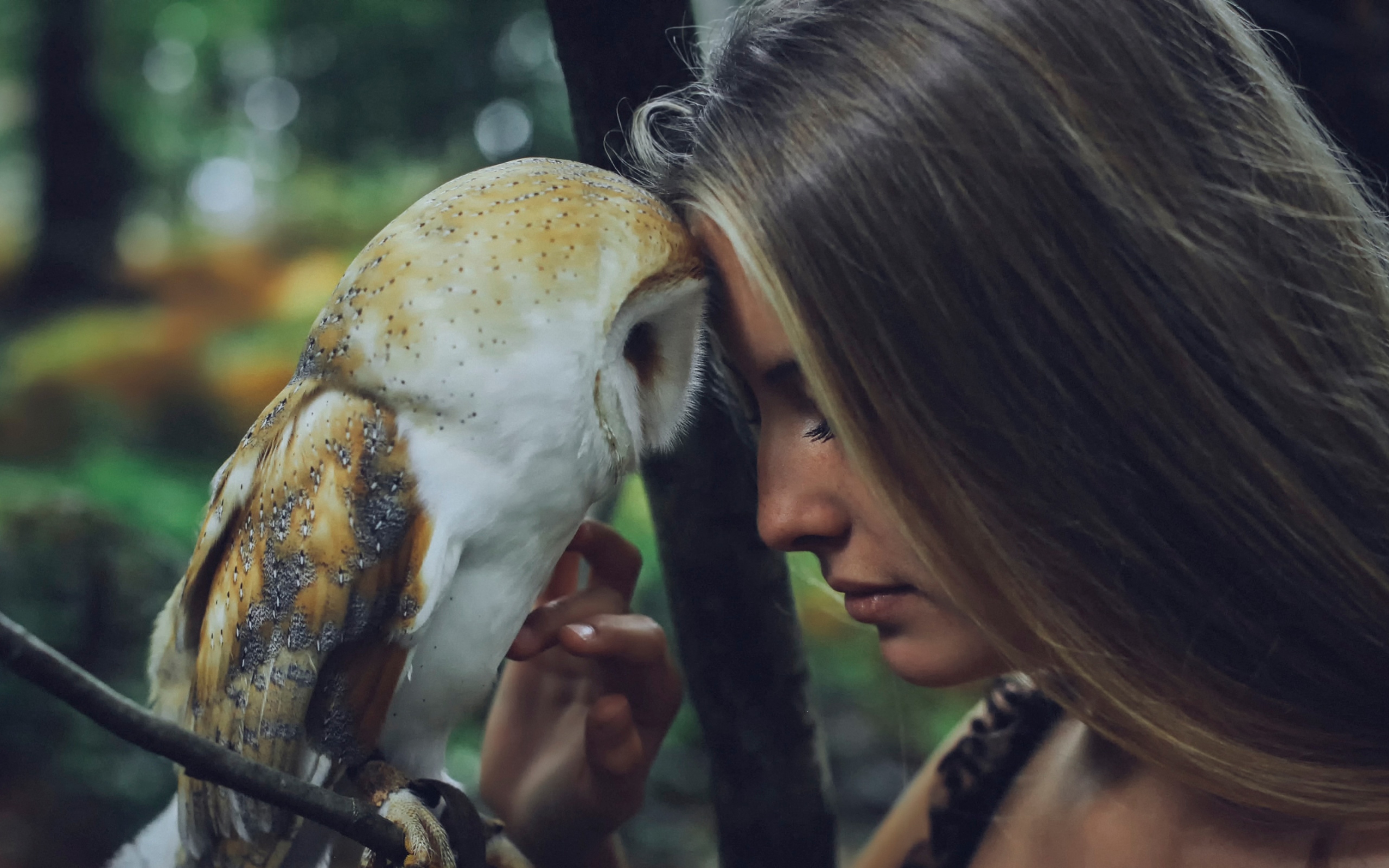 girl-with-owl-2560x1600.jpg