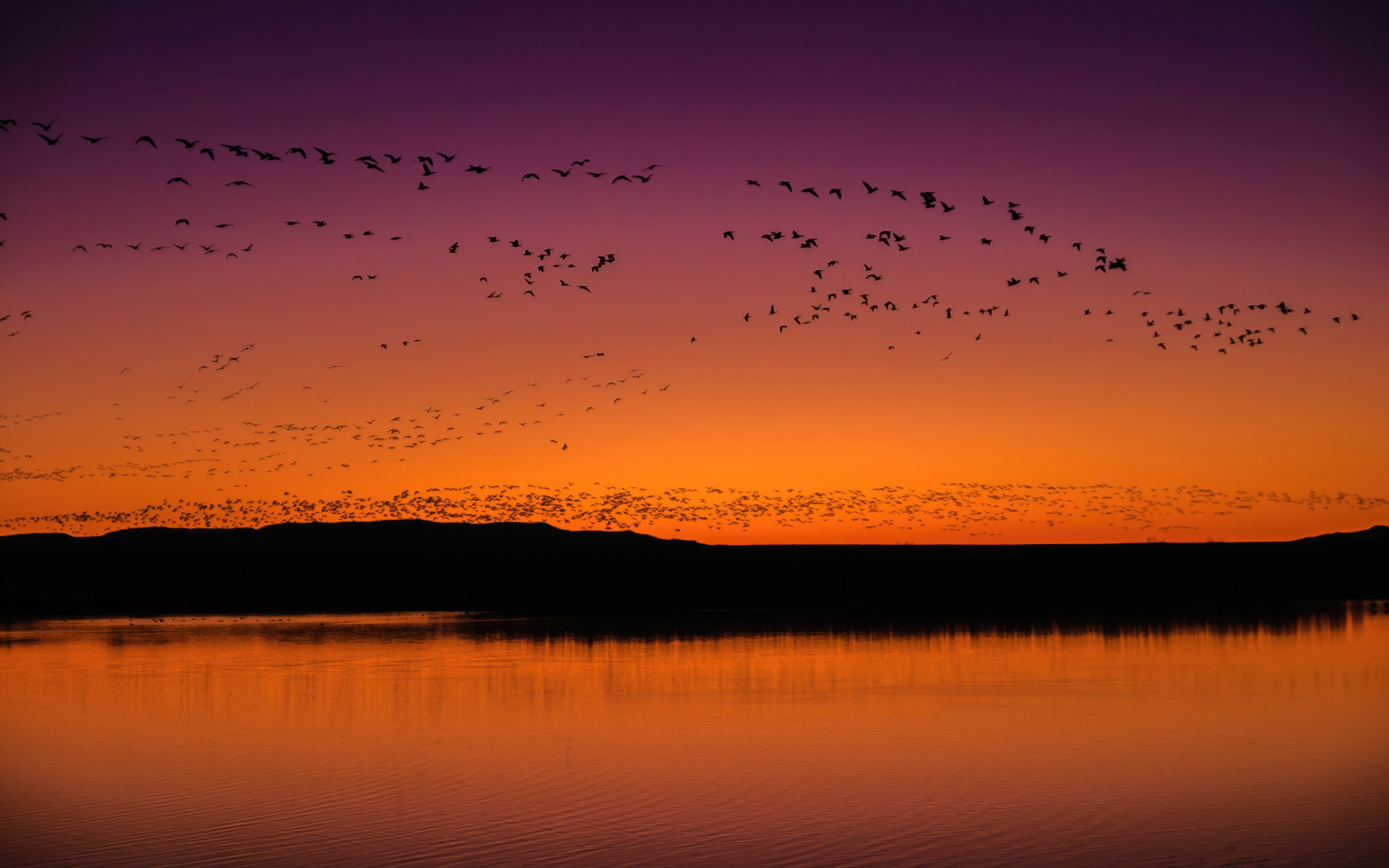 bosque-del-apache-national-wildlife-refuge-visitor-center-zq-2560x1600.jpg