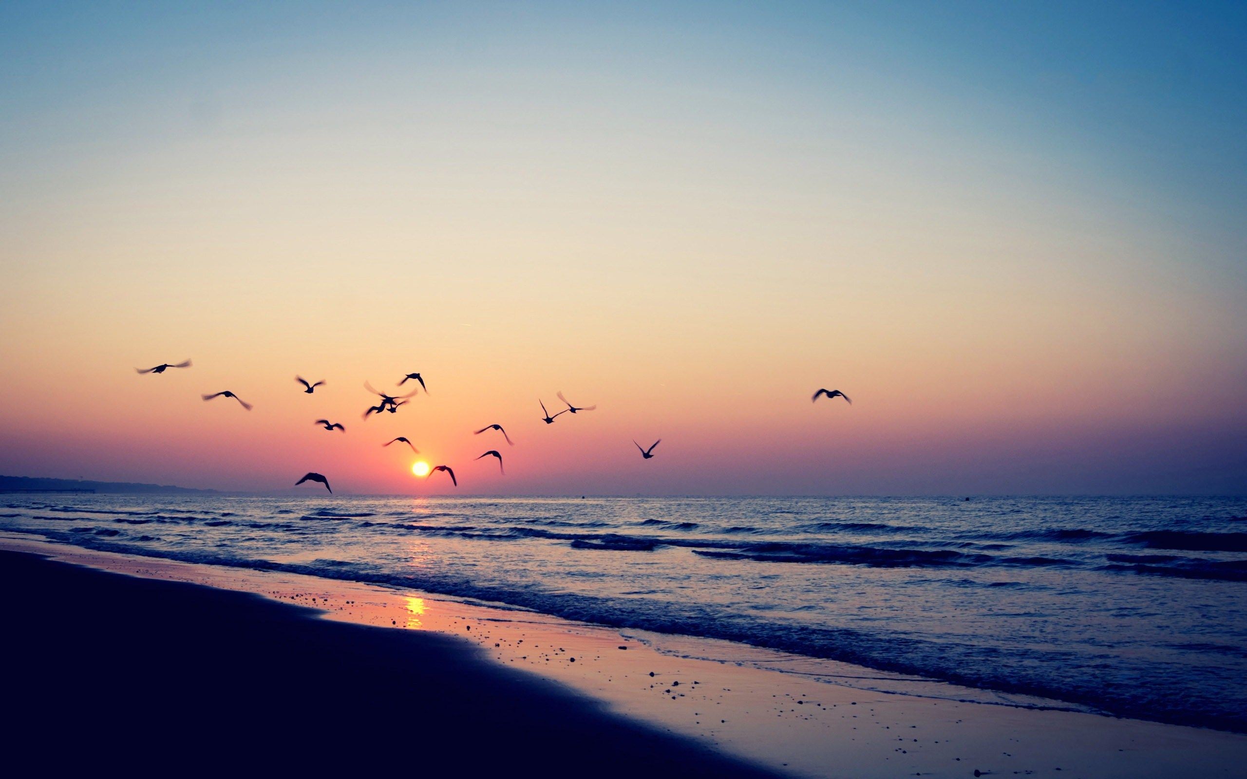 teahub.io-summer-wallpaper-14023.jpg