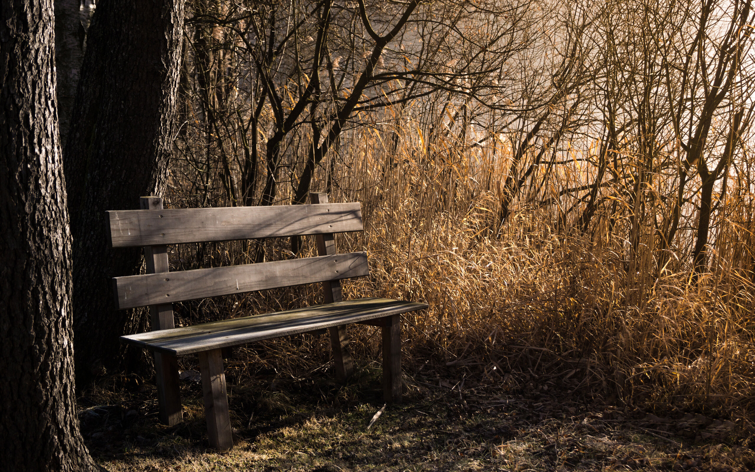 bench-bank-seat-5k-0g-2560x1600.jpg