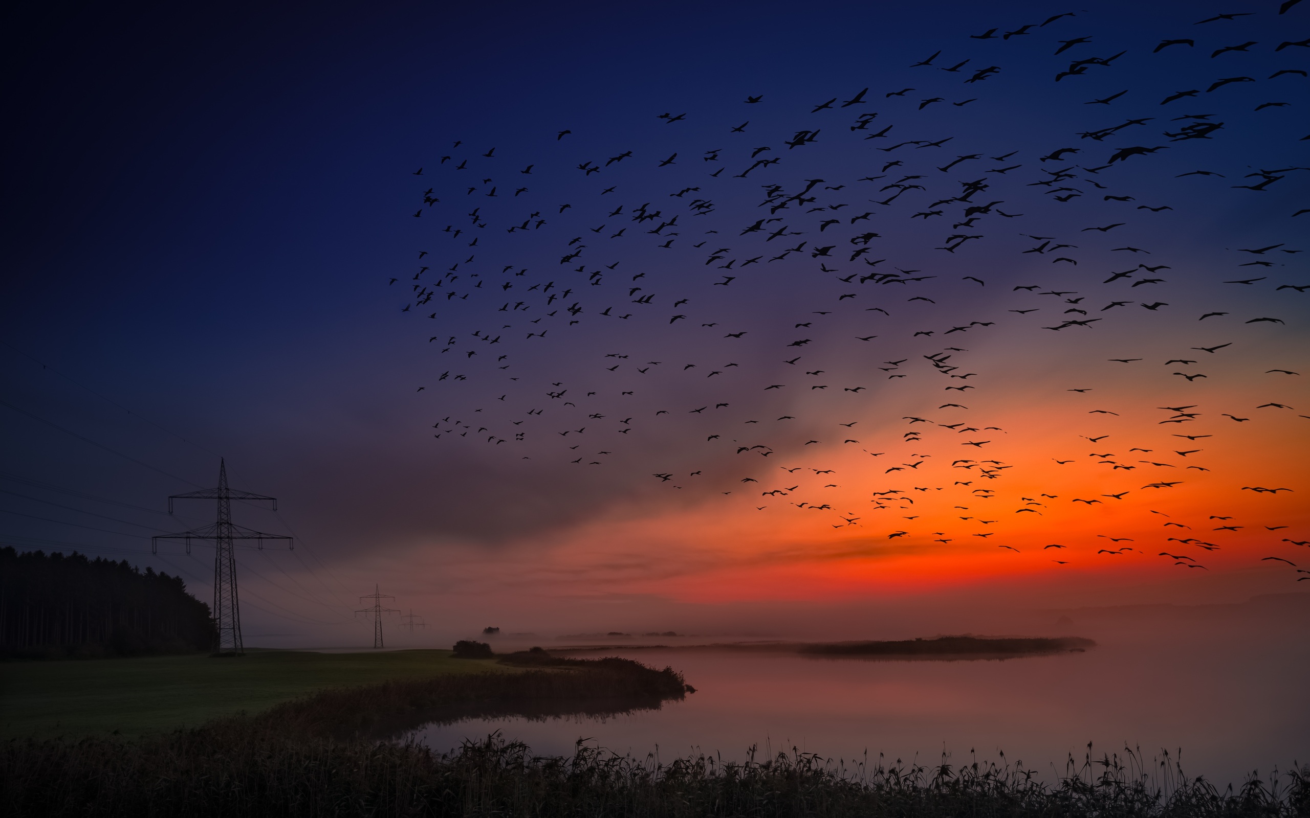 sunrise-birds-flight-5k-hb-2560x1600.jpg