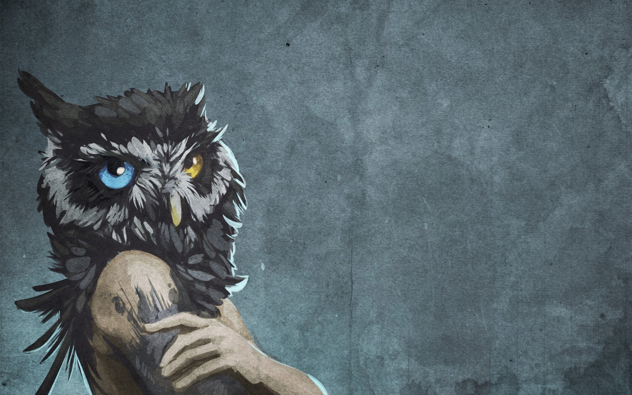 teahub.io-owl-wallpaper-hd-693987.jpg