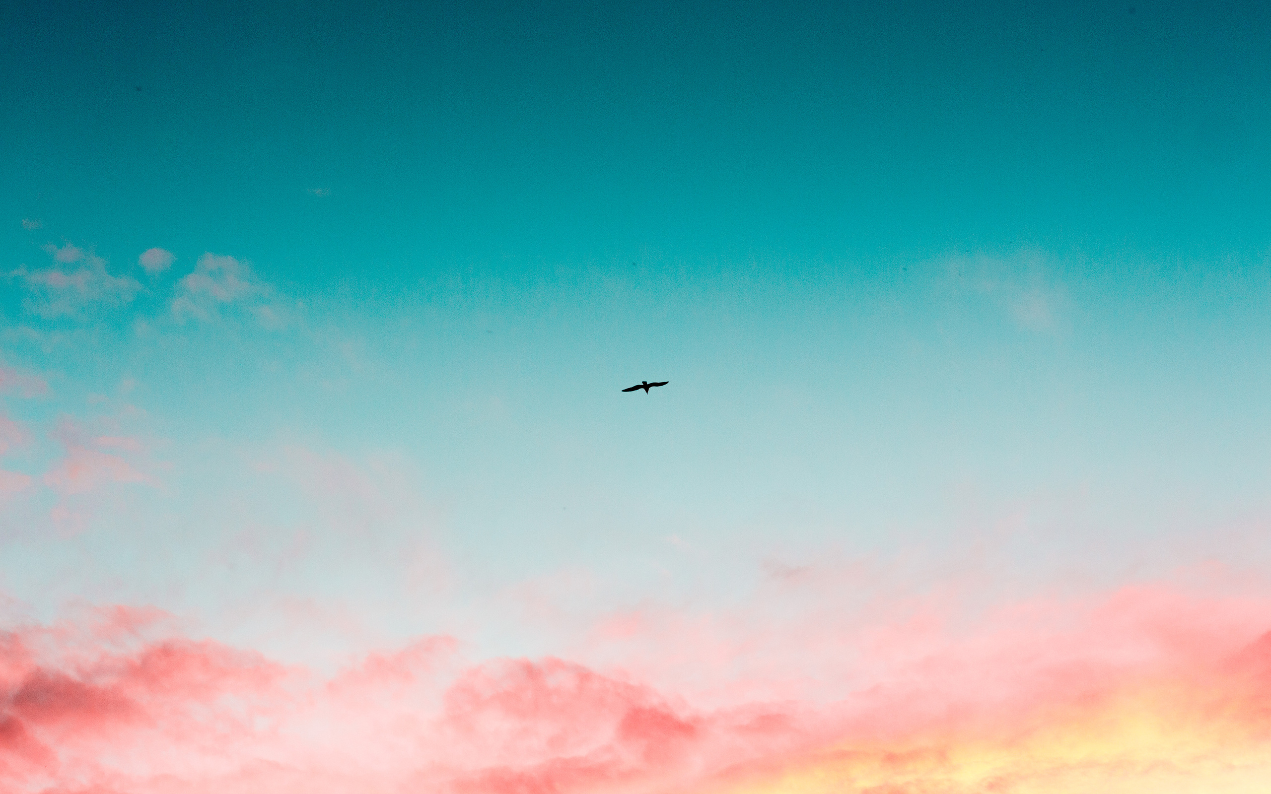 beautiful-sky-clouds-bird-flying-4k-mc-2560x1600.jpg